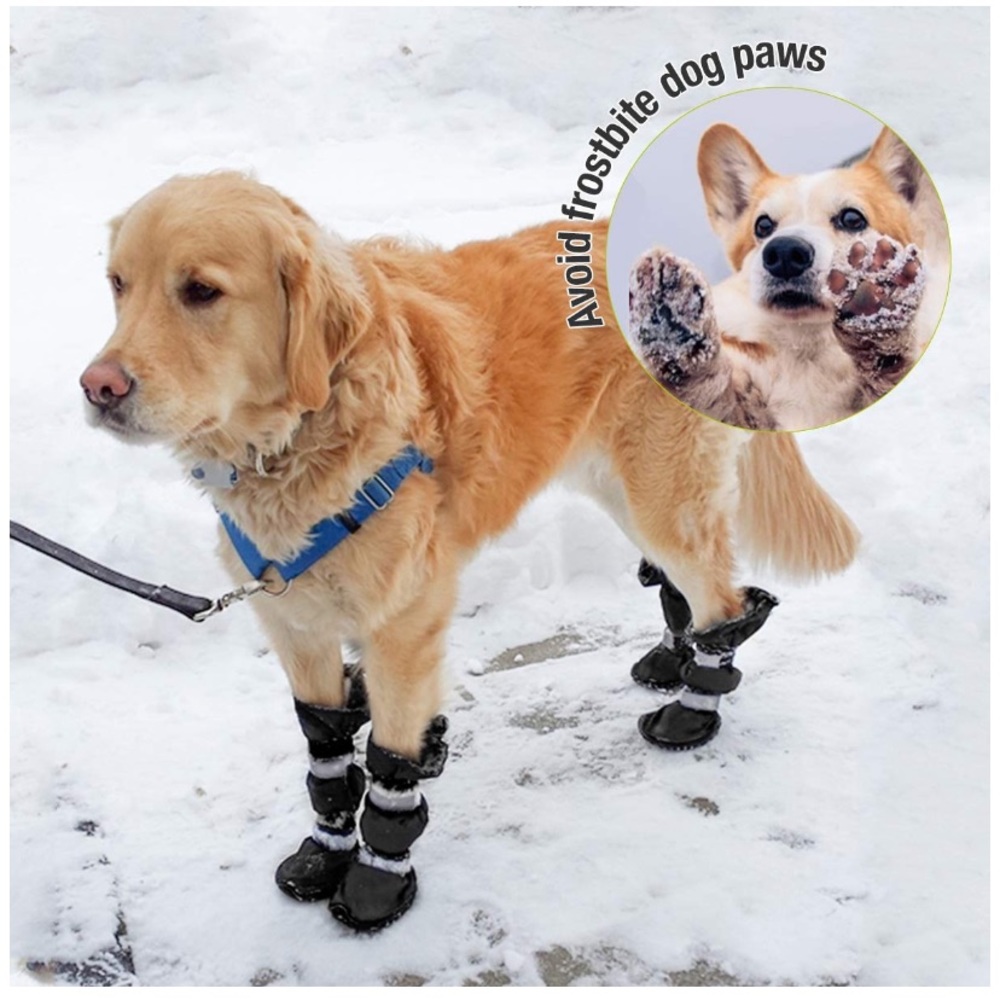 DOG SHOES PET